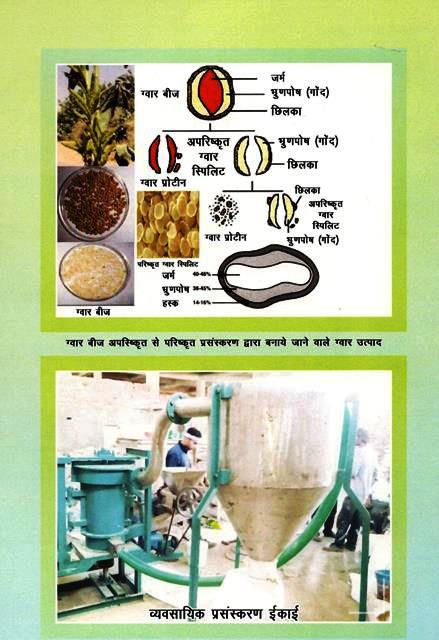 Guar Production Technique Plant Protection And Commercial Use By Dr. Nitin Chawala And P.C Bairwa Latest Edition Free Shipping